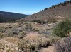 20200805_151807.jpg 20200805_151807.jpg