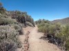 20200805_152455.jpg 20200805_152455.jpg