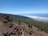 20200805_153109.jpg 20200805_153109.jpg