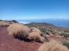 20200805_155010.jpg 20200805_155010.jpg