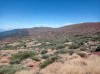 20200805_155014.jpg 20200805_155014.jpg
