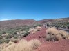 20200805_155016.jpg 20200805_155016.jpg