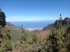 20200805_162239.jpg 20200805_162239.jpg
