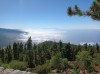 20200805_163025.jpg 20200805_163025.jpg