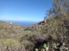 20200805_173901.jpg 20200805_173901.jpg