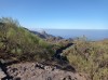 20200806_103656.jpg 20200806_103656.jpg