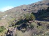 20200806_105816.jpg 20200806_105816.jpg