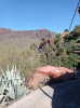 20200806_110418.jpg 20200806_110418.jpg