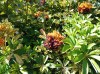 20200806_111025.jpg 20200806_111025.jpg