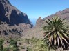 20200806_111401.jpg 20200806_111401.jpg