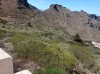 20200806_114200.jpg 20200806_114200.jpg