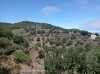 20200806_125053.jpg 20200806_125053.jpg