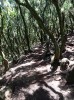 20200806_132609.jpg 20200806_132609.jpg