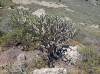 20200806_133417.jpg 20200806_133417.jpg