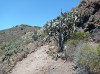 20200806_134650.jpg 20200806_134650.jpg