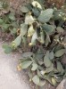 20200807_095251.jpg 20200807_095251.jpg