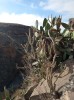 20200807_100951.jpg 20200807_100951.jpg