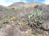 20200807_101041.jpg 20200807_101041.jpg