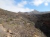 20200807_101143.jpg 20200807_101143.jpg