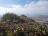 20200807_103235.jpg 20200807_103235.jpg