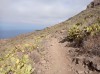 20200807_103533.jpg 20200807_103533.jpg