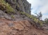 20200807_104418.jpg 20200807_104418.jpg