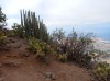 20200807_104418_1.jpg 20200807_104418_1.jpg