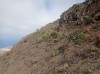 20200807_104607.jpg 20200807_104607.jpg
