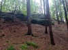 IMG_20210709_105133.jpg IMG_20210709_105133.jpg