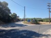 20210714_101645.jpg 20210714_101645.jpg