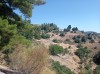 20210714_103354.jpg 20210714_103354.jpg