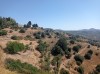 20210714_103357.jpg 20210714_103357.jpg