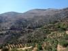 20210714_103424.jpg 20210714_103424.jpg
