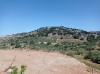 20210714_104016.jpg 20210714_104016.jpg