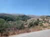 20210714_111704.jpg 20210714_111704.jpg