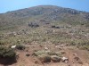 20210714_114027.jpg 20210714_114027.jpg