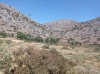 20210714_114037.jpg 20210714_114037.jpg
