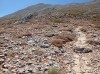 20210714_120616.jpg 20210714_120616.jpg
