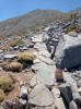20210714_122401.jpg 20210714_122401.jpg