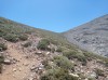 20210714_125202.jpg 20210714_125202.jpg