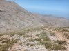 20210714_125425.jpg 20210714_125425.jpg