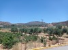 20210715_143431.jpg 20210715_143431.jpg
