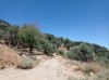 20210715_152106.jpg 20210715_152106.jpg