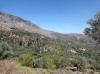 20210715_152448.jpg 20210715_152448.jpg