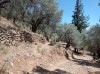 20210715_153000.jpg 20210715_153000.jpg