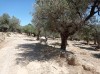 20210715_153528.jpg 20210715_153528.jpg
