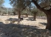 20210715_153533.jpg 20210715_153533.jpg