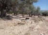 20210715_153657.jpg 20210715_153657.jpg