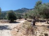 20210715_153722.jpg 20210715_153722.jpg