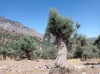20210715_153830.jpg 20210715_153830.jpg